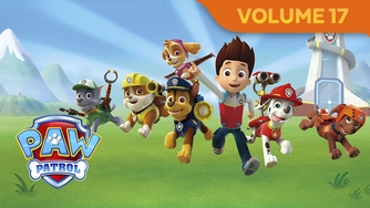 Fetch - PAW Patrol Vol 17